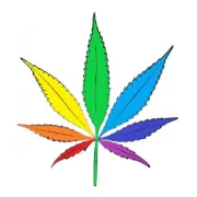 工业大麻全球麻资讯