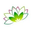 创意吊篮盆栽