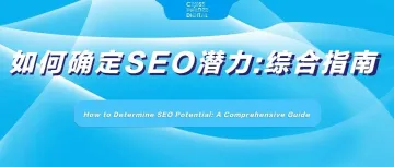 如何确定SEO潜力:综合指南(上期)