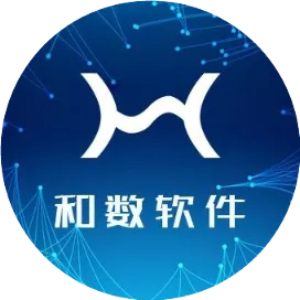 上海和数软件
