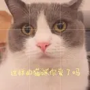 手动投放现阶段如何操作？
