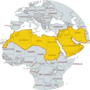 埃及企业报税倒计时30天！每年都有中企栽在这个环节踩雷🥲