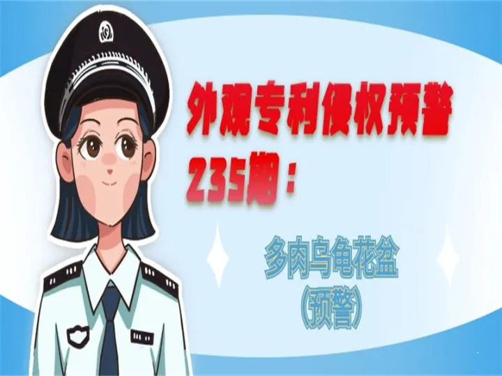 外观专利侵权预警：多肉乌龟花盆（预警）