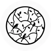 南锣鼓巷12年口碑老店“文宇奶酪”品牌全面升级