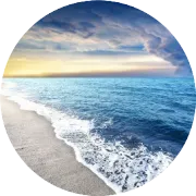 【每日德鲁克】2026年2月17日