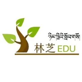 林芝教育