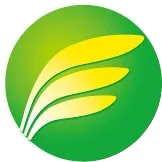 广州启动闲置农房盘活利用试点工作  我市逾150个试点村镇先行探路