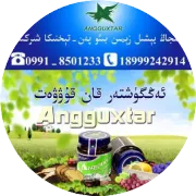 بىر كۆرۈپ ئاشىق بولۇشنىڭ راستلىقى ئىسپاتلاندى