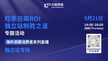 旺季狂飙ROI，独立站制胜之道