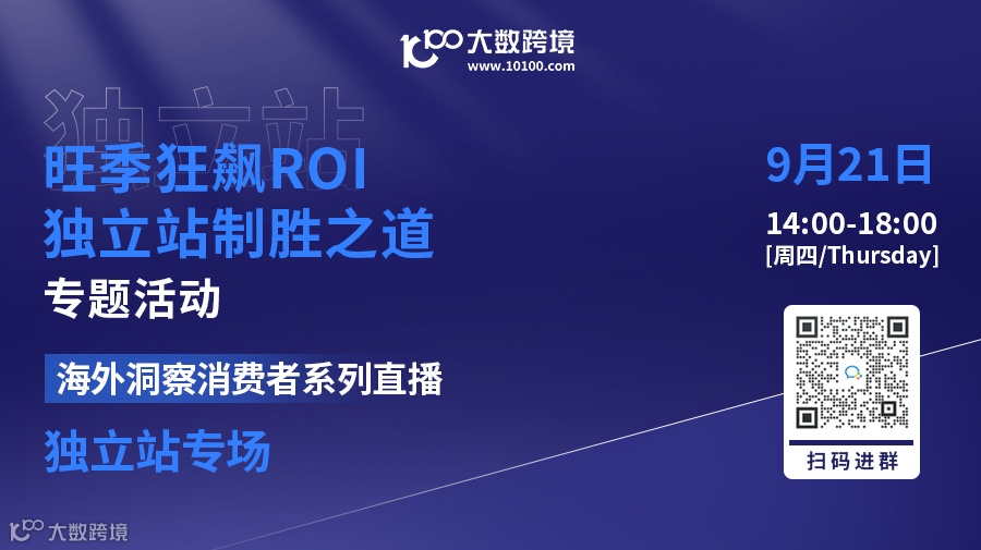 旺季狂飙ROI，独立站制胜之道