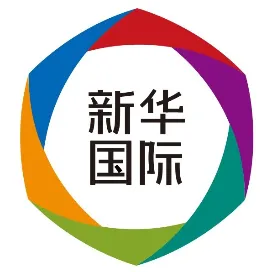 新华国际头条