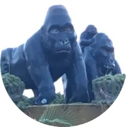 China’s Position Paper on the UNGA Resolution 2758