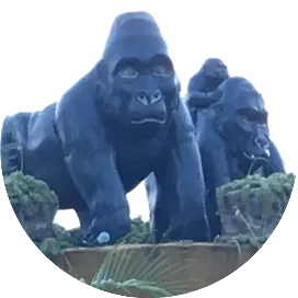 中国驻卢旺达大使馆