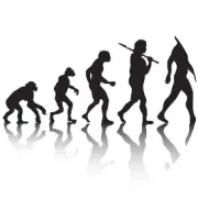 大模型科普：从Token、Transformer到蒸馏模型