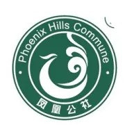 凤凰公社槐花季 满园槐香等你来