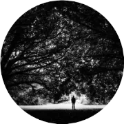 青果期刊 | 安光所：成像碳卫星点源排放探测与估算研究新进展（IWGGMS研讨会）