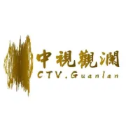 中视观澜公司简介