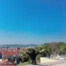 小美的跨境日记