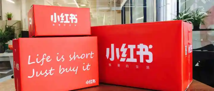 小红书向左，大众点评向右