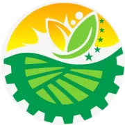 从“金叶”到青豆！大龙潭乡“丰收接力赛”正酣