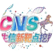 1区10.6分！单细胞测序+空间转录组学多组学生信分析揭示：YAP1驱动SPP1+巨噬细胞介导胃癌免疫治疗抵抗，公共数据库验证确证其预后价值！