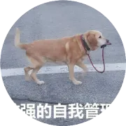 【成都】遂宁银行2026年总行信息科技部社会招聘公告