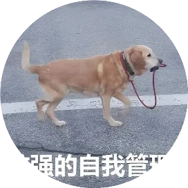 社招IT岗位发现