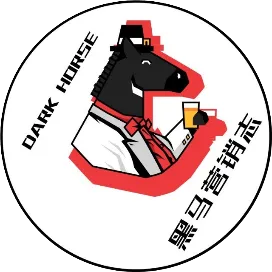 黑马营销志