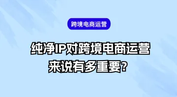 纯净IP对跨境电商运营来说有多重要？