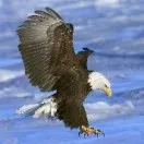 126邮箱和163邮箱的区别