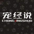 作者头像