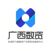 广西数据集团今日揭牌！
