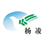 一种有生命的乐器：古琴