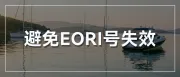 “免除清关烦恼！深入了解EORI的作用及申请流程”