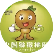 夏季猕猴桃果园管理需要做到：防旱、排涝、防日烧