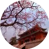 桂华中学：面向全体学生，为学生架设成才立交桥