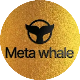 逐梦MetaWhale