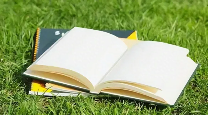 外贸路上越来越精明的客户