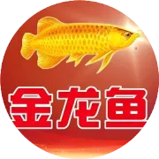 限时秒杀  超低特价