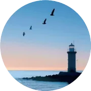 2026年香港公司为什么这么火？香港公司注册全流程指南| Hong Kong company registration.