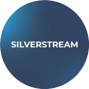 Silverstream® 系统获大额订单：助力格里马尔迪集团 9 艘新造滚装客船升级