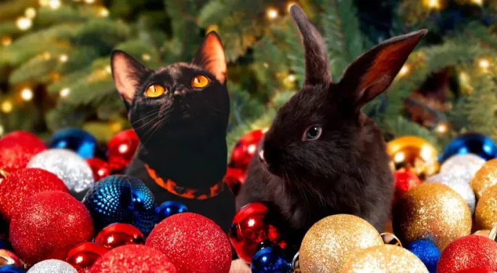 热点趋势|兔年装饰品火出圈！俄罗斯人狂买“猫兔”形象节日用品