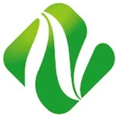 海南芒果“台农一号”反季节催花，这3个要点一定要掌握