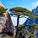 新客人回复价格比其他厂商高很多，该如何回？