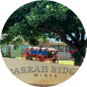 赤霞珠 Cabernet Sauvignon —— 红白混血王子