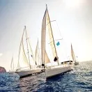 出海新贵：打造宠物智能用品帝国，年销售额飙升400%