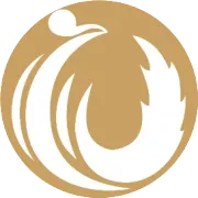 便民资讯 | 金水区艺术小学金科校区2026年招生启动