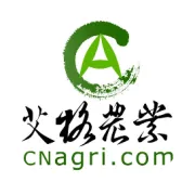 初九數(shù)據(jù)與艾格農(nóng)業(yè)攜手推動四平玉米產(chǎn)業(yè)數(shù)字化綜合服務(wù)平臺上線