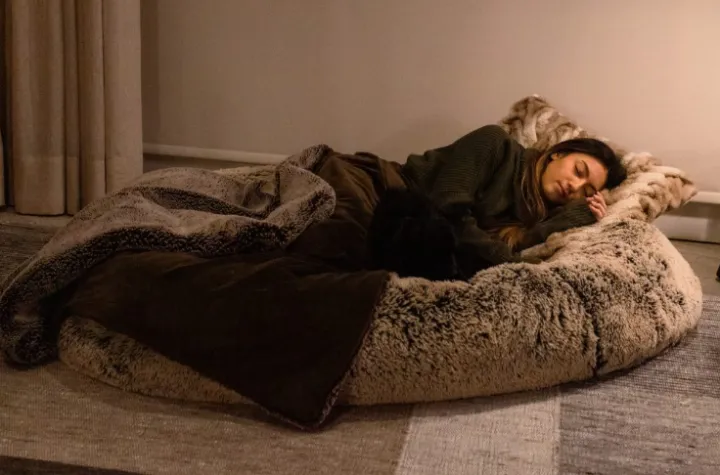 两名大学应届毕业生创造了TikTok病毒式传播的人类狗床