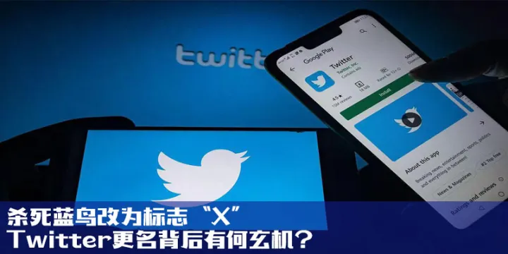 杀死蓝鸟改为标志“X”，Twitter更名背后有何玄机？